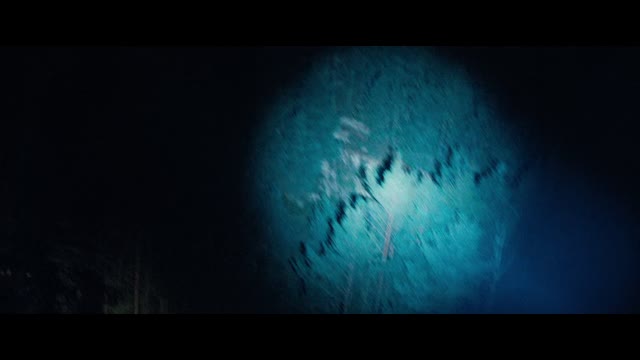 Angel Has Fallen 2019