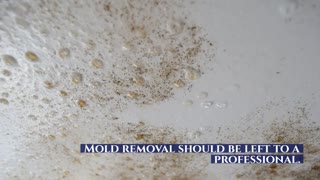 ASAP MOLD TESTING ENCINO