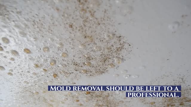 ASAP MOLD TESTING ENCINO