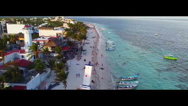 Pet friendly condos Puerto Morelos
