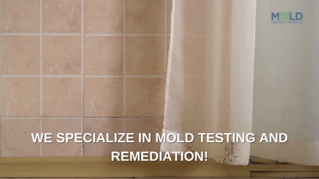 Mold Testing and MOLD REMOVAL los angeles