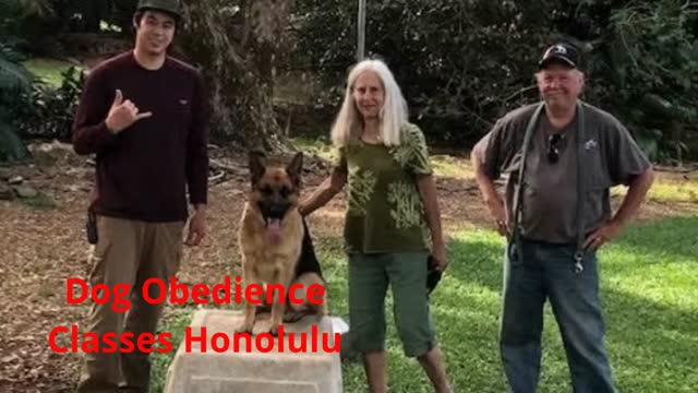 Alpha K-9 Dog Training - Dog Obedience Classes in Honolulu, HI