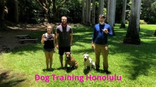 Alpha K-9 Dog Training in Honolulu, HI