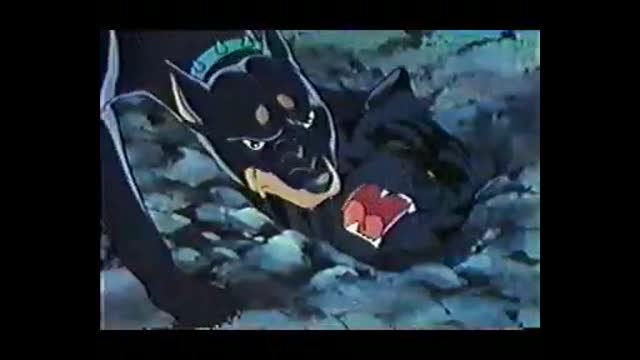 0007 - 명견 실버 7화투견 총 집합 (4a6CMG8LAWc)