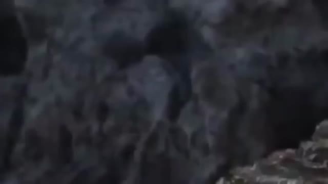 The Lion King Full Movie ?️ Hollywood Full Movie 2022 ?️ Full Movies in English ???? ?? 1080 (xC-r-Ks_FJo)