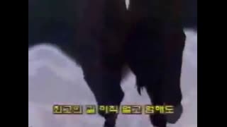 [추억찾기] 요리왕 비룡 엔딩 (No8rX05bvrc)