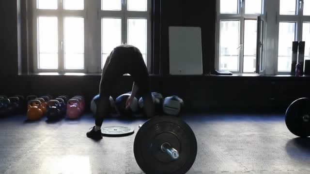 IronForge Fitness Dominate Your Workout at Our Plate-Loaded Gym