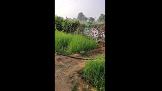 एक गांव के युवा को शहर नहीं जाना चाहिए | Grameen Youth | खेती, ग्राम्य जीवन और प्राकृतिक जीवन के फायदे