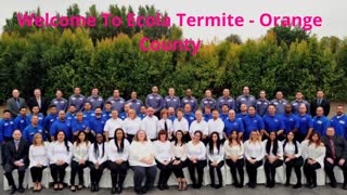 Ecola Termite - Affordable Pest Control in Orange County, CA