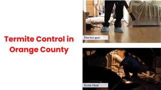 Ecola Termite Control in Orange County | 92805