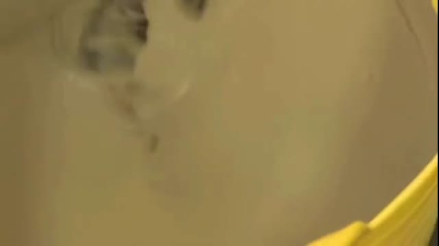 Advanced Laytex Flooring Technologies