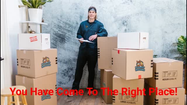 Ecoway Movers - Dependable Moving Company in Newmarket, ON