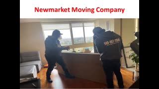 Ecoway Movers : Affordable Moving Company in Newmarket You Can Actually Trust