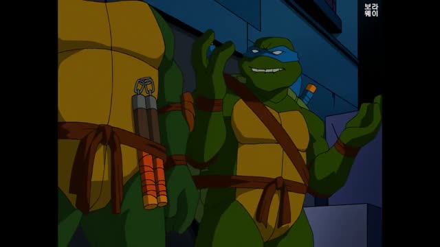 [보라웨이] 거북이 특공대 - 1. 새로운 시작, 테스트 (SCwABz_-uug)