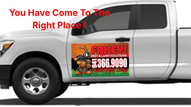 Turf Signs : Custom Design Services in Tampa, FL 