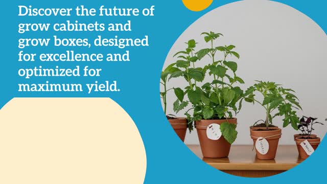 Grow Tent Kit Grow Box Solutions - SuperCloset