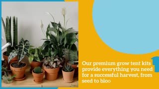 Grow Tent Kit Grow Box Solutions - SuperCloset