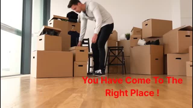 Ecoway Movers : #1 Moving Company in Scarborough, ON