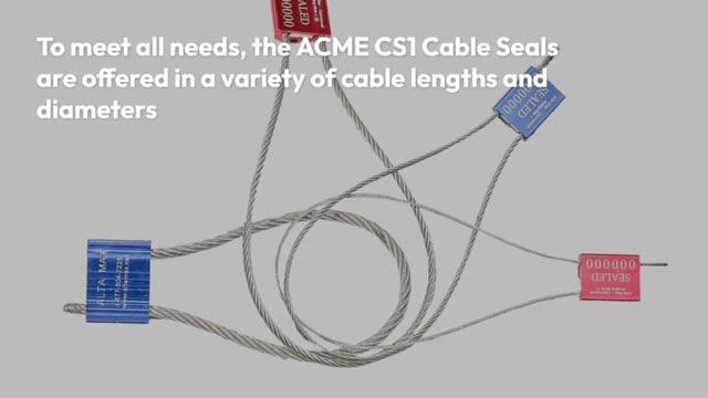 Cable security seals