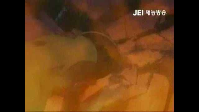 버키와 투투 06화 (JgCg2x14OUI)