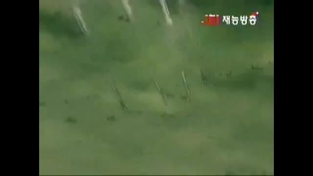 버키와 투투 19화 (vKh61TQoIoE)