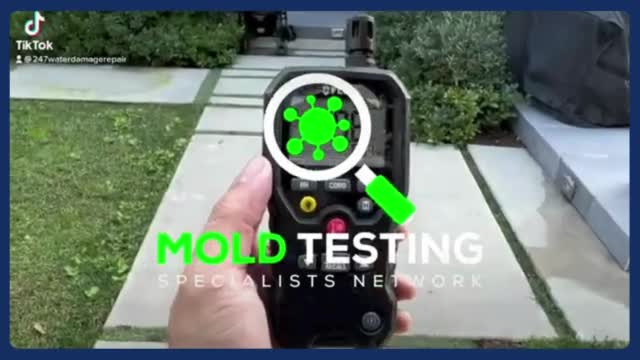 Mold inspection Los Angeles