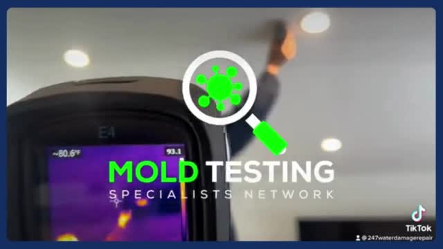 Mold inspection Los Angeles