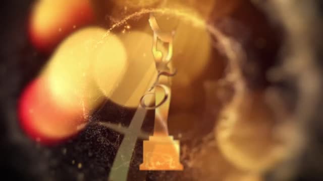 ibrahimmuratgunduz “international summer awards” pars international medya