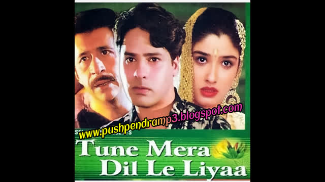 Tune Mera Dil  Le Liya (2000) ||  Raveena Tandon, Rahul Roy,Naseeruddin Shah