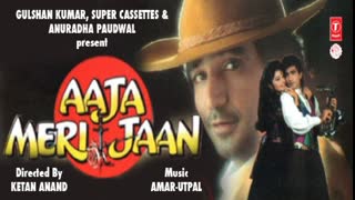 Aaja Meri Jaan 1992 __  Krishnan Kumar __ Shammi Kapoor __  Tanya Singh