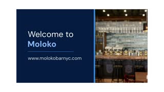 MOLOKO A local bar in Bed-Stuy serving American