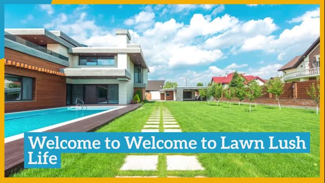 Lawn Lush Life - Specialists in lawn care and maintenance products, from fertilizers to mowers