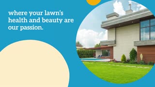 Lawn Lush Life - Specialists in lawn care and maintenance products, from fertilizers to mowers