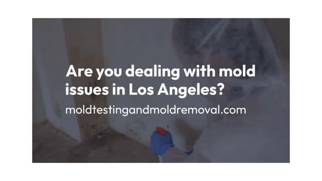 Mold testing and mold removal