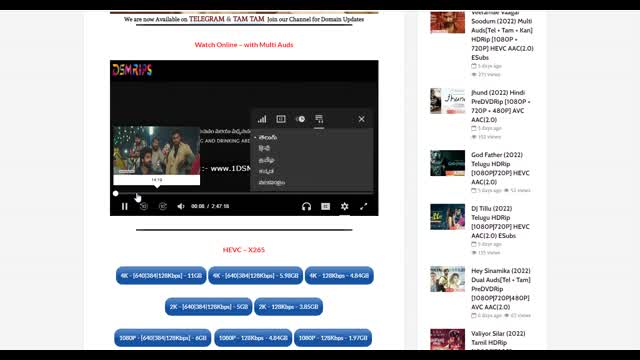 How to Watch Online with Multi Audios in Player
