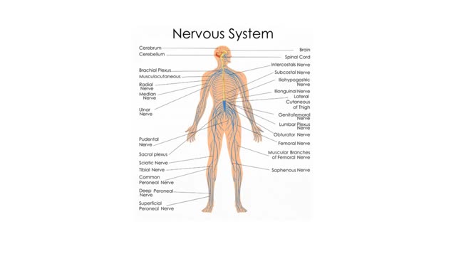 Ultimate Diagnostic Center - Trusted EMG Test in Homestead, FL
