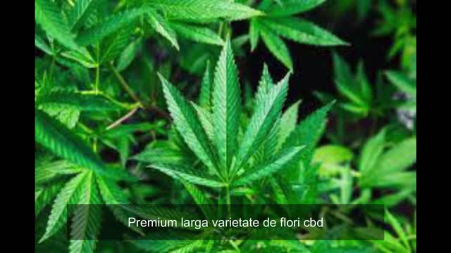 Magazin online produse premium larga