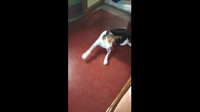 VID_20210512_131552