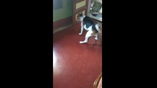 VID_20210512_131552