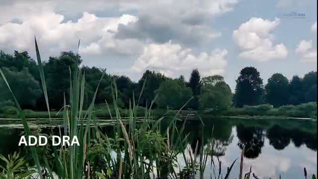 Pond Design & Construction Austin TX | Koi Ponds & Water Gardens | ATX Landscape