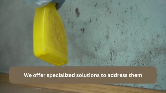 Mold testing Dallas Tx