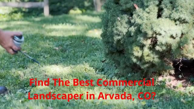 Greenspace Landscaping - Commercial Landscaper in Arvada, CO