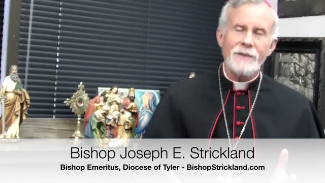 Joy to the World. A Christmas Message from Bishop Strickland. (1080p_30fps_H264-128kbit_AAC)