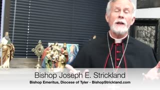 Joy to the World. A Christmas Message from Bishop Strickland. (1080p_30fps_H264-128kbit_AAC)
