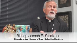 WE THREE KINGS!- An Epiphany Message from Bishop Strickland (480p_30fps_AV1-128kbit_AAC)