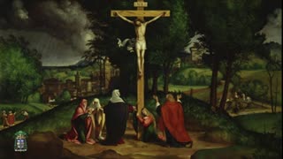 Omelia per l'Esaltazione della Santa Croce