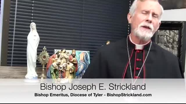 Bishop Joseph Strickland THEOTOKOS - THE GOD-BEARER - Rejoicing with Mary in the New Year!_480p