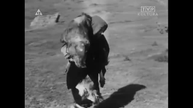 Święty Franciszek z Asyżu Kuglarz Boży 1950 Lektor PL.ia
