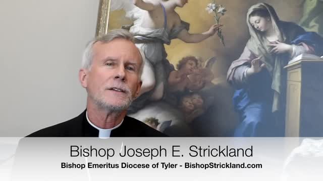 Bishop Strickland Speaks Make Advent A Spiritual Reboot
