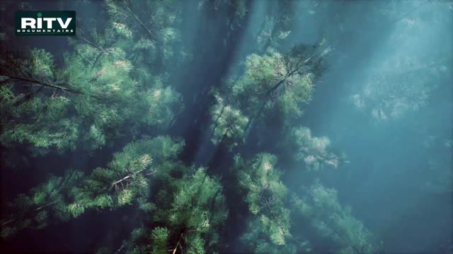 Convertis par l'Amour de Dieu ⁄ Documentaire